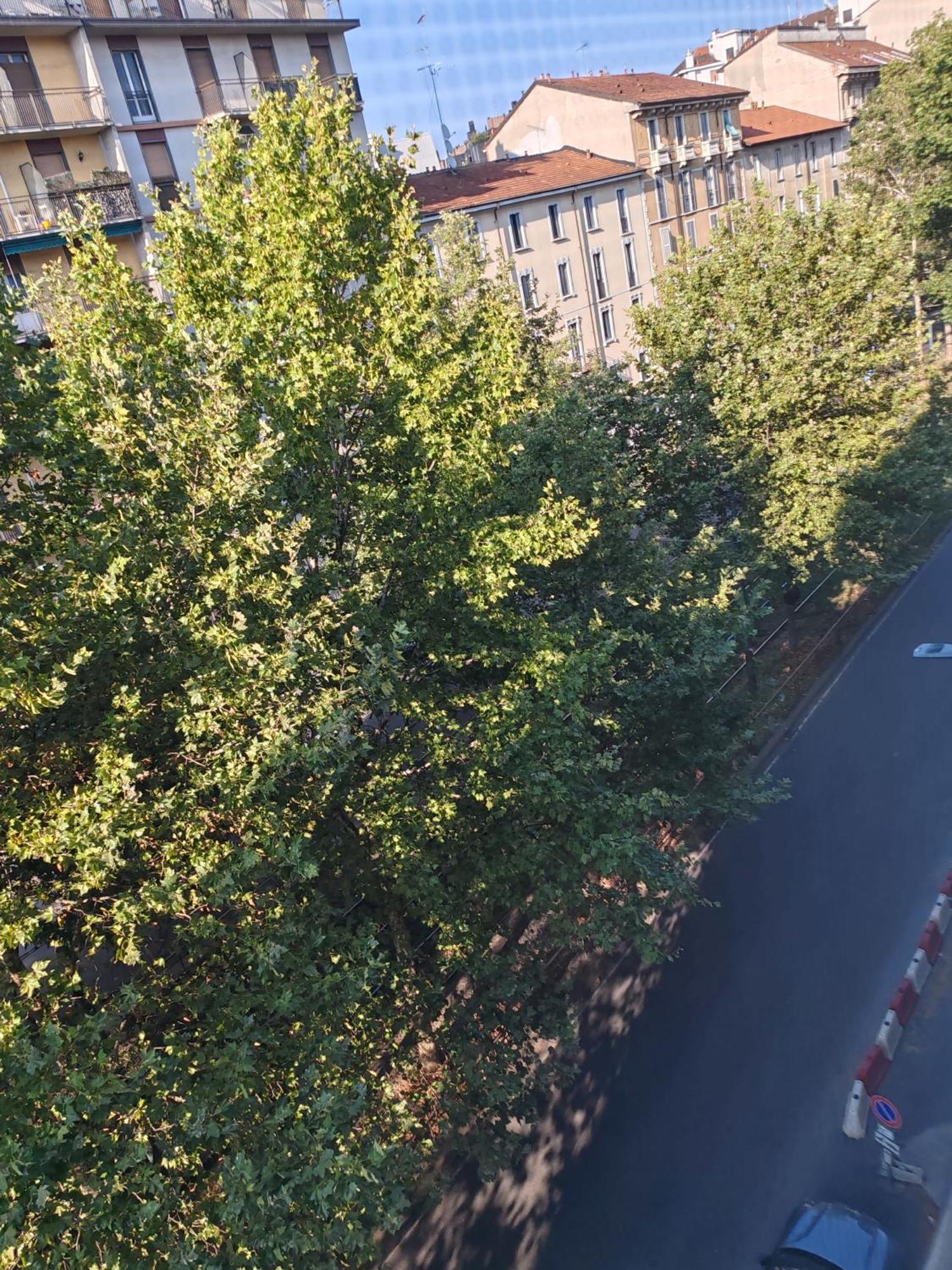 La Casa Di Cris - Milano, Appartamento Zona Sempione Exteriér fotografie